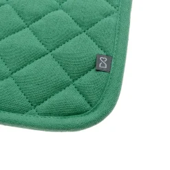 Agarrador de Cocina Verde 20x20 cm
