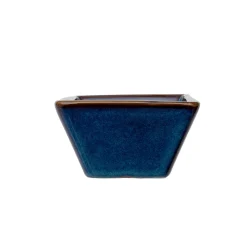 Bol porcelana azul