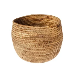 Cesta