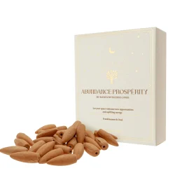 Conos de Incienso Frankincense & Oud 30 Unidades