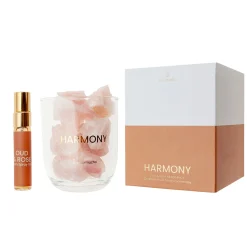 Difusor de cristales oud & rose