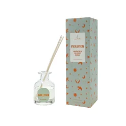 Mikado Cedarwood & Mint - Difusor en Sticks