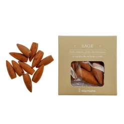 Pack 10 conos incienso cascada Sage