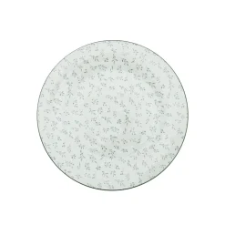 Plato ceramica
