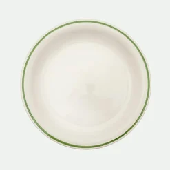 Plato Llano Vivo 17X27X2,3Cm Ve.