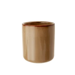 Vaso cepillo dientes