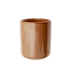 Vaso cepillo dientes 300ml