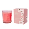 Vaso vela Cherry Bloom